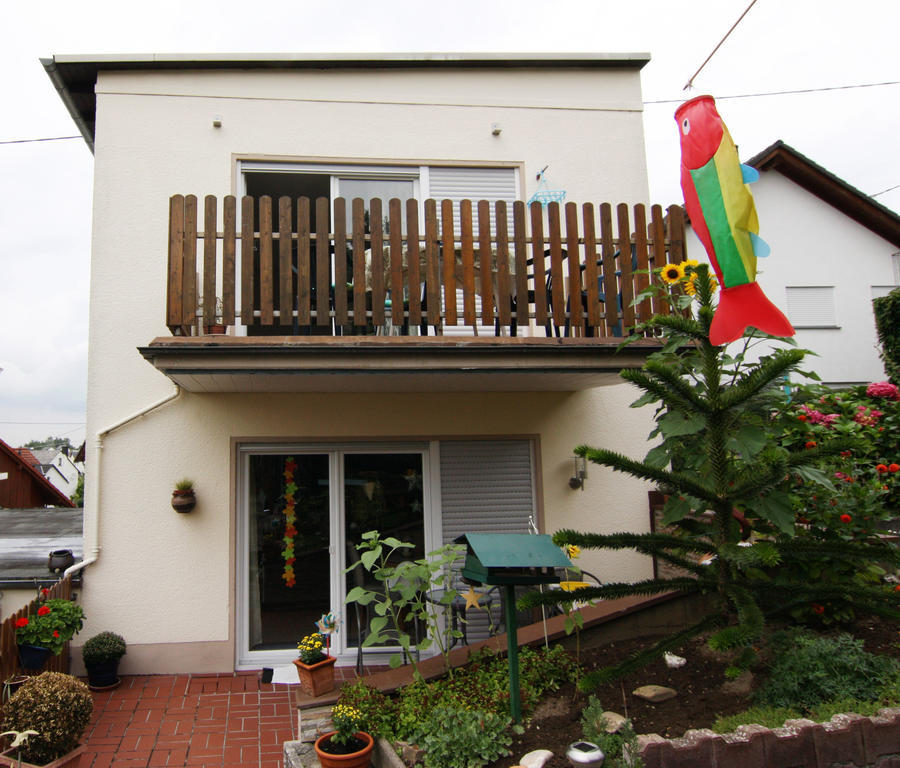 Ferienwohnung Gerharz Hillscheid 外观 照片